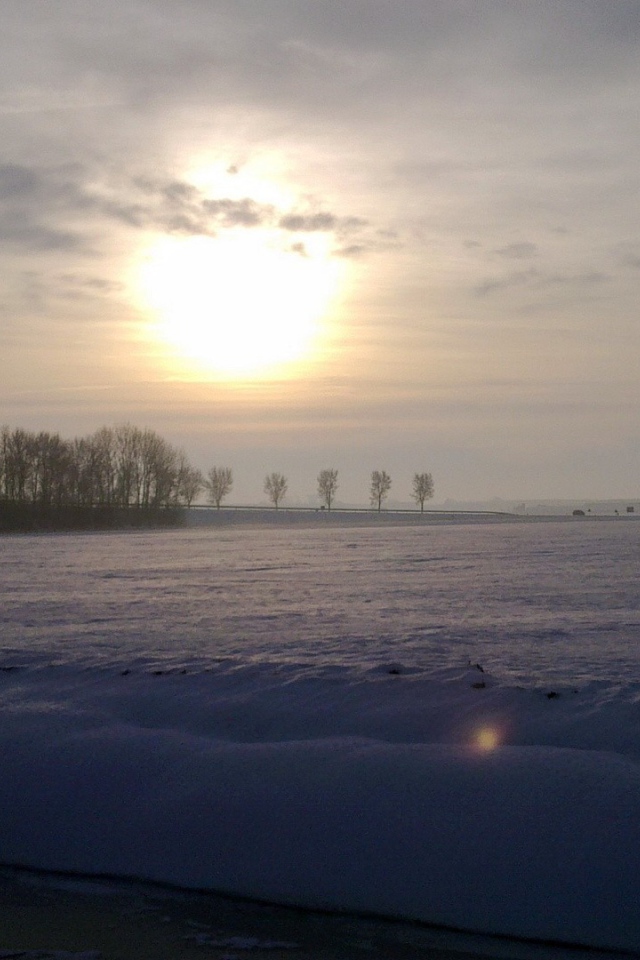 Заметенное снегом поле