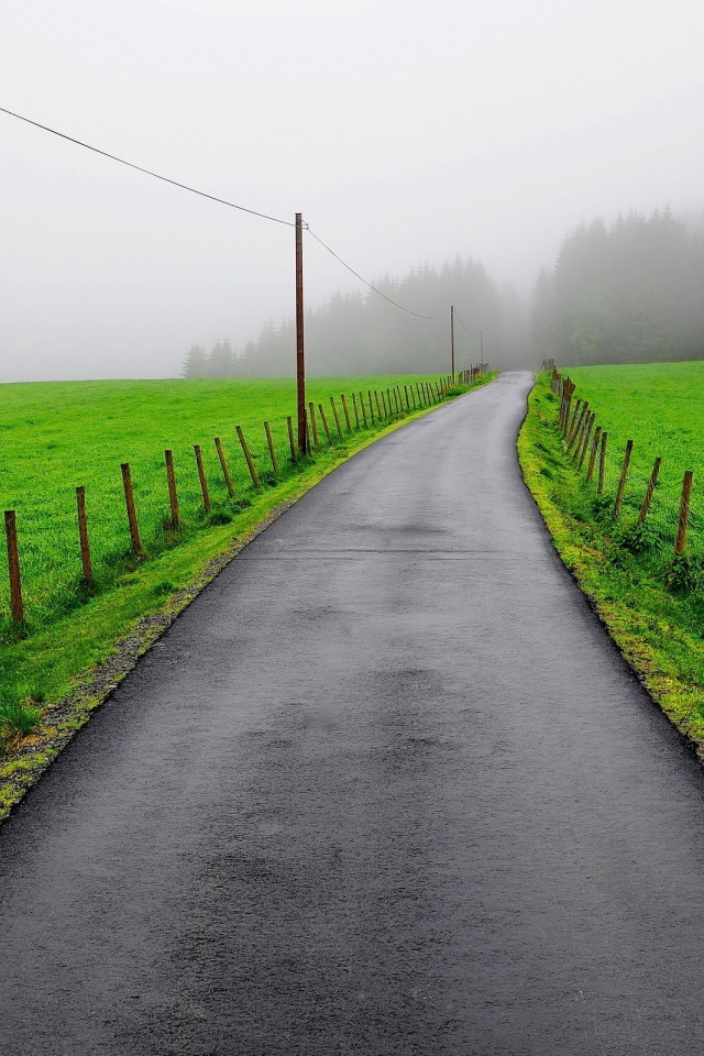 Мокрая дорога между зеленых полей
