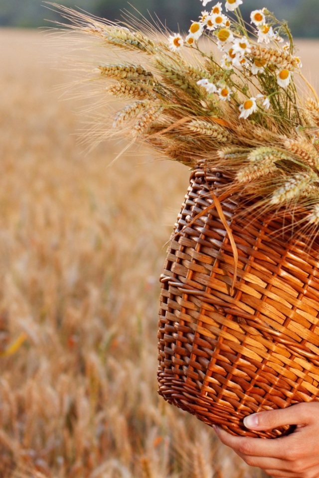 Плетеная корзина с колосками и полевыми цветами