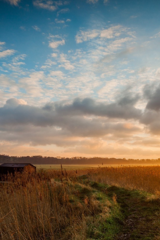 Мельница среди поля на фоне заката
