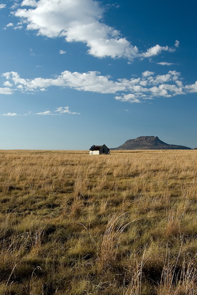 Одинокий дом посередине поля