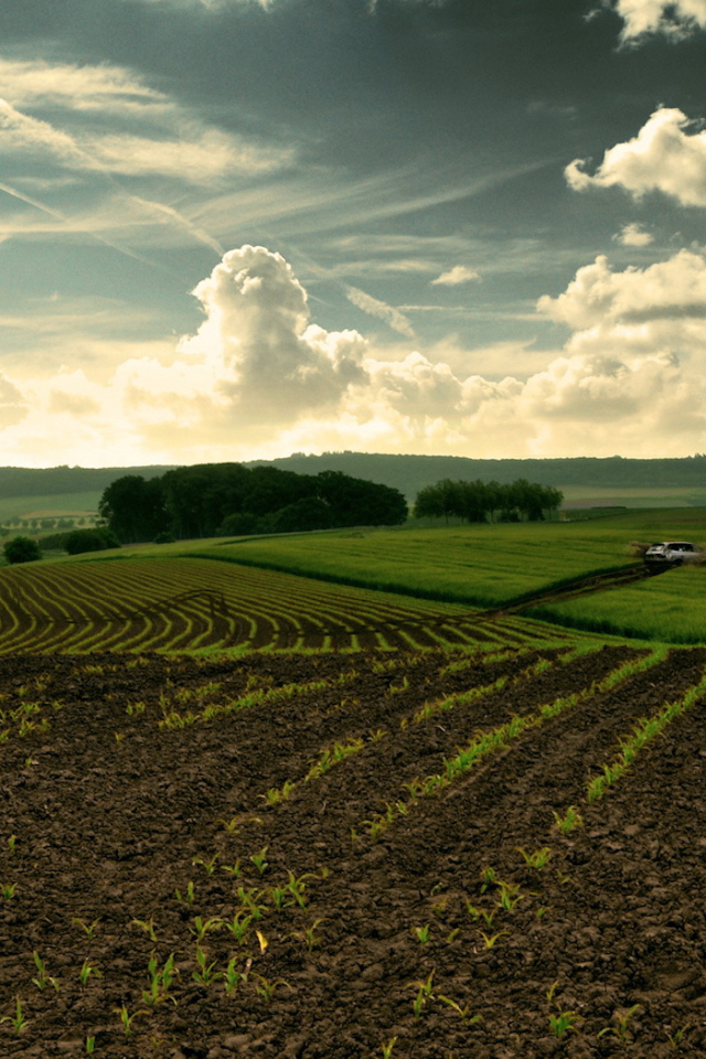 Перепаханное поле