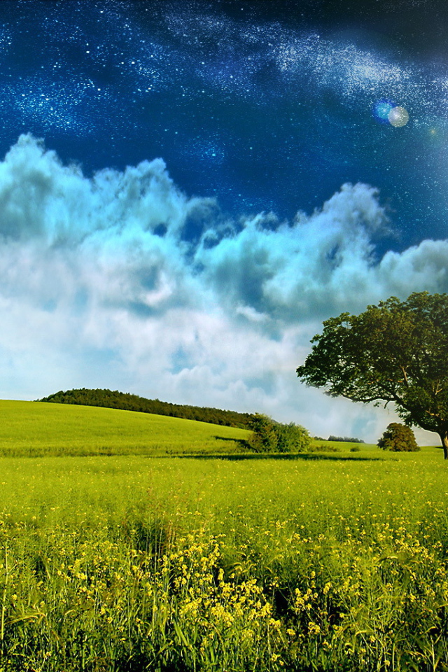 Поле и звездное небо