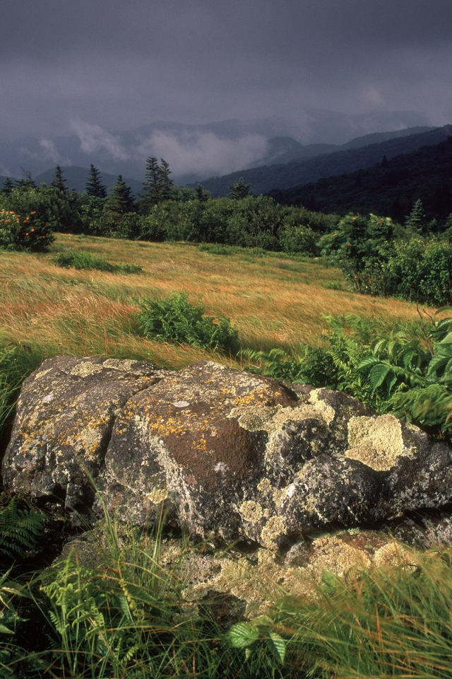 Камень посреди поля