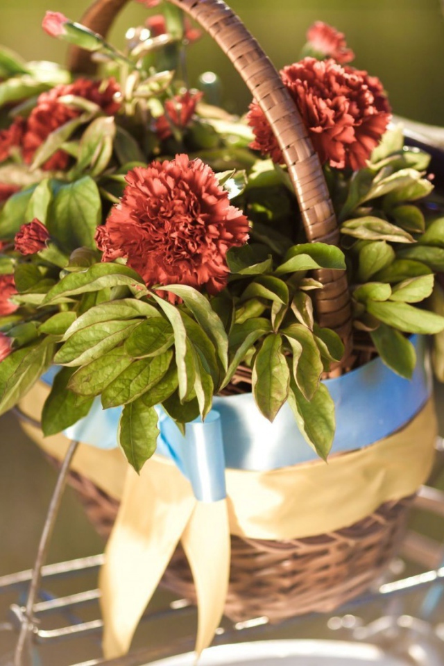 Корзина цветов на багажнике велосипеда