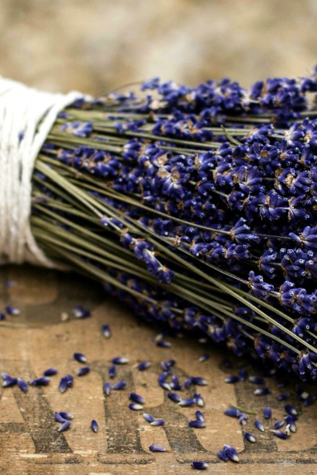 Букет цветов лаванды