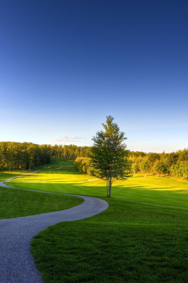 Извилистая дорожка в лесу