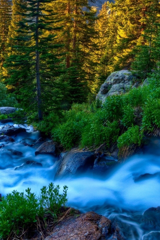 Голубой ручей среди горного леса