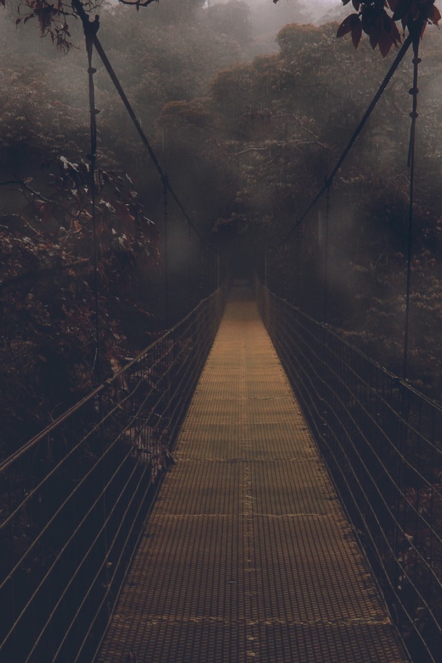 Мост в мрачный лес