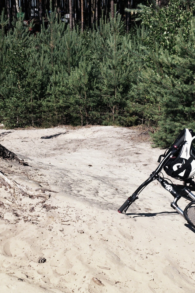 Велосипед у пенька среди леса