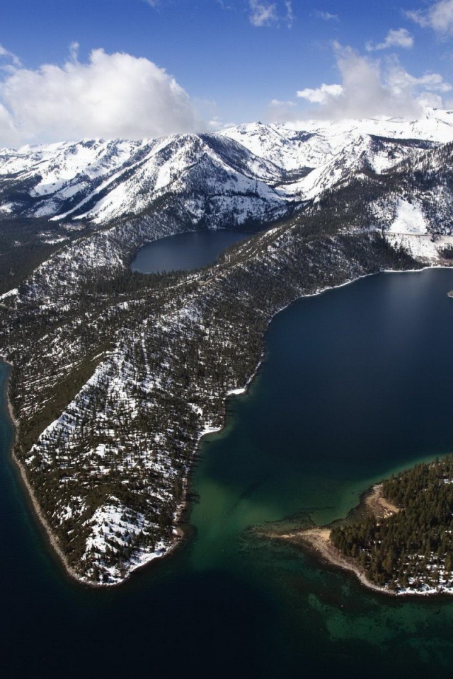 Густой заснеженный лес в горах, спускающихся к морю