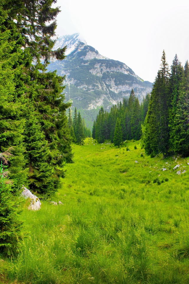 Сказочная природа предгорья