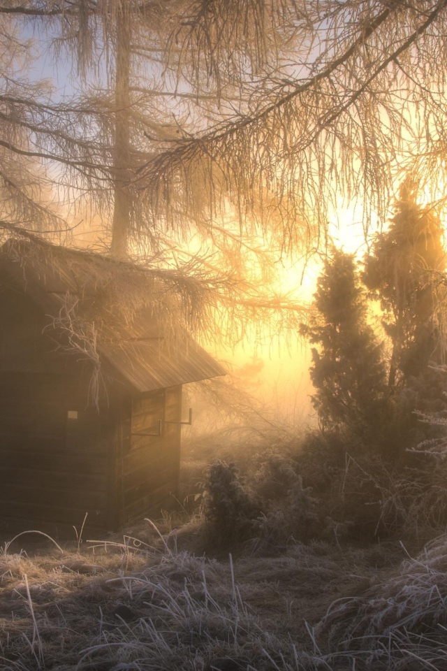 Охотничья избушка в морозном лесу