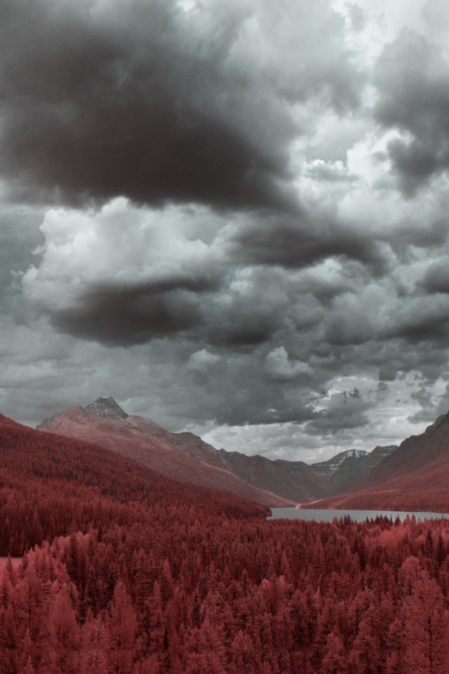 Рыжий лес в предгорье