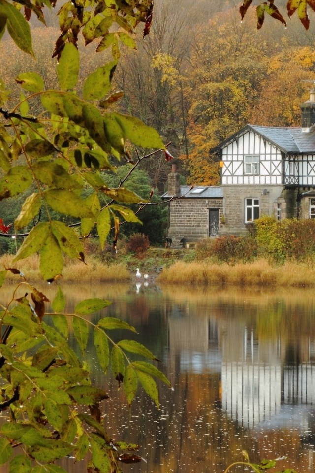 Каменный жилой дом среди леса