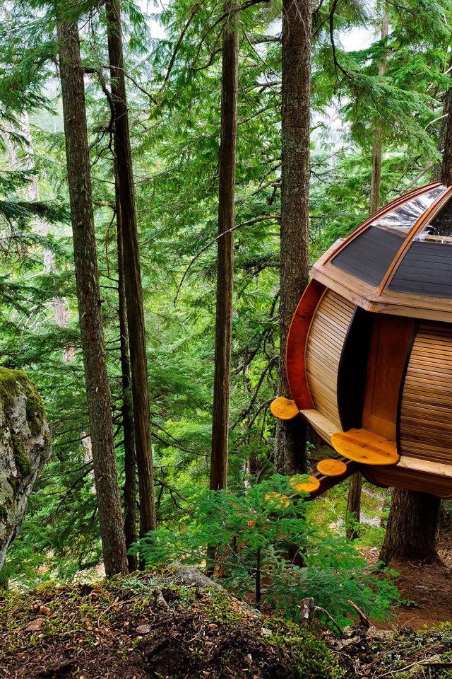 Домик на дереве в лесу