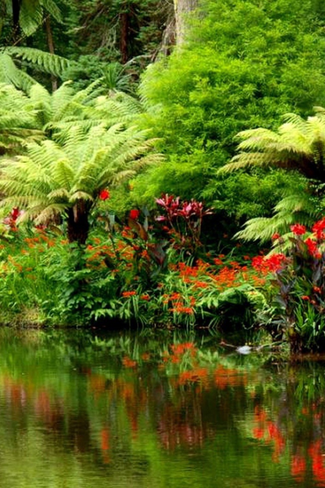 Тропический лес на берегу реки