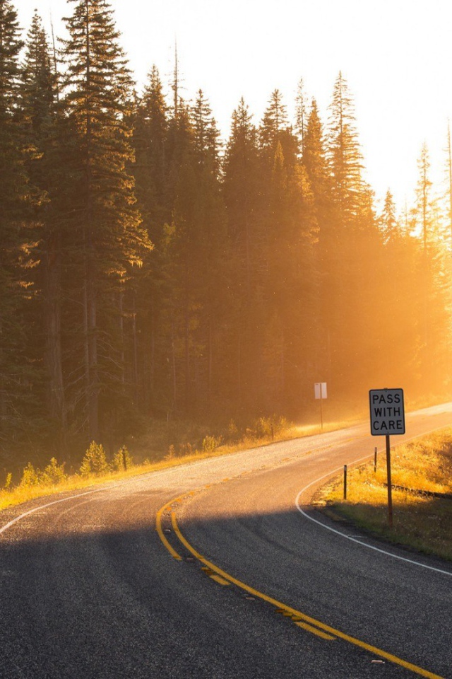 Поворот на лесной дороге