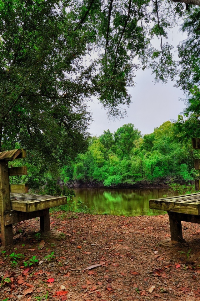 Две скамьи у лесного озера