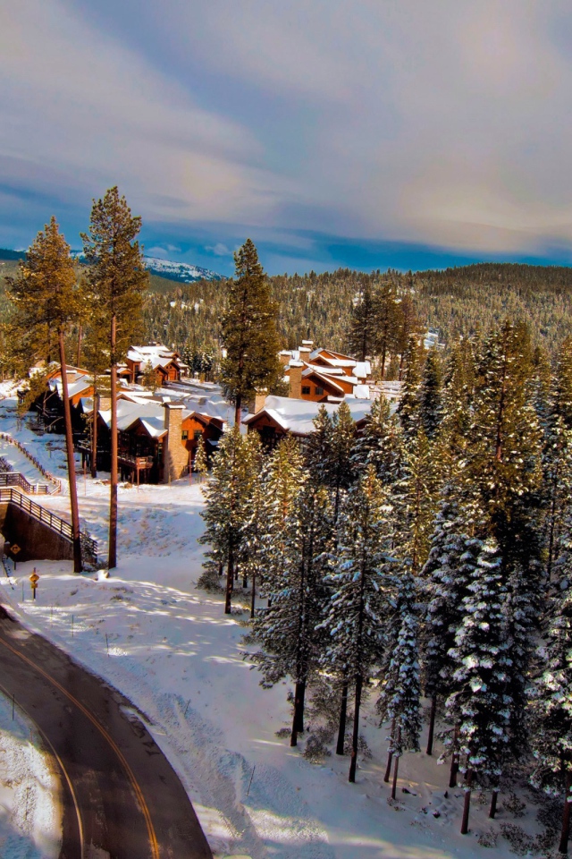 Поселок в зимнем лесу