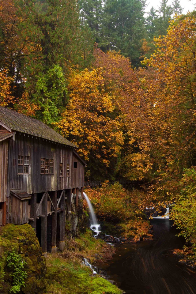 Деревянный дом над речушкой в лесу