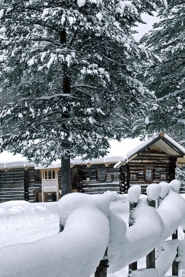 Деревянный дом в чаще зимнего леса