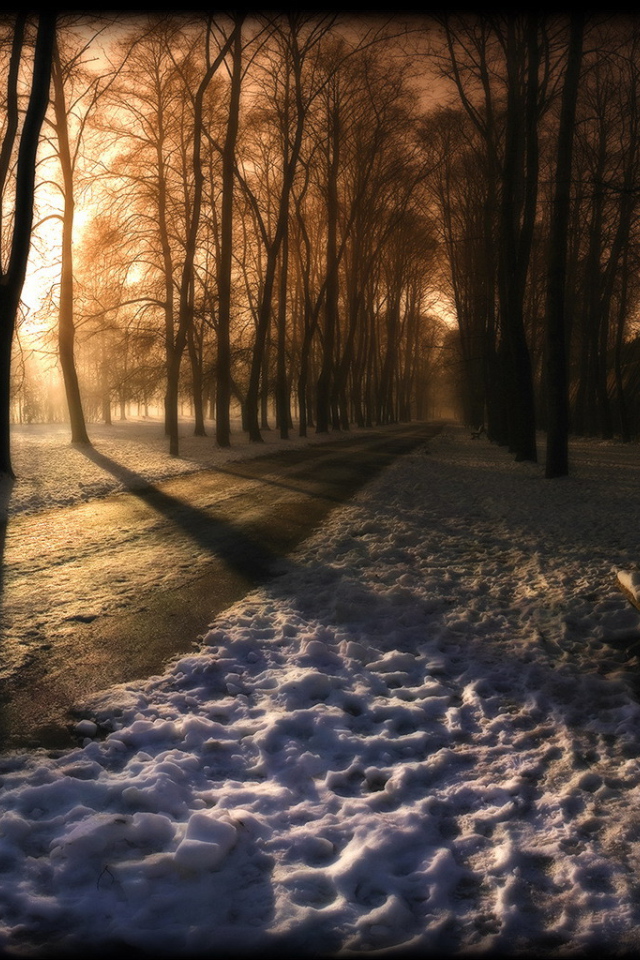 Вечер в заснеженном парке