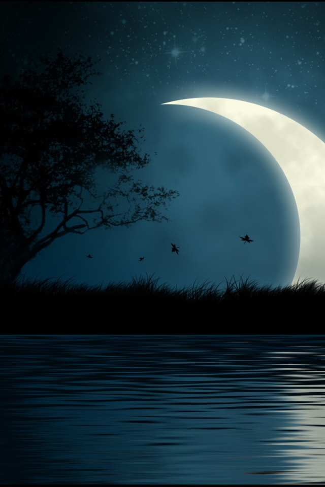 Большая луна на острове