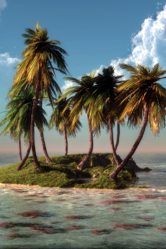 Немного зелени на затерянном островке