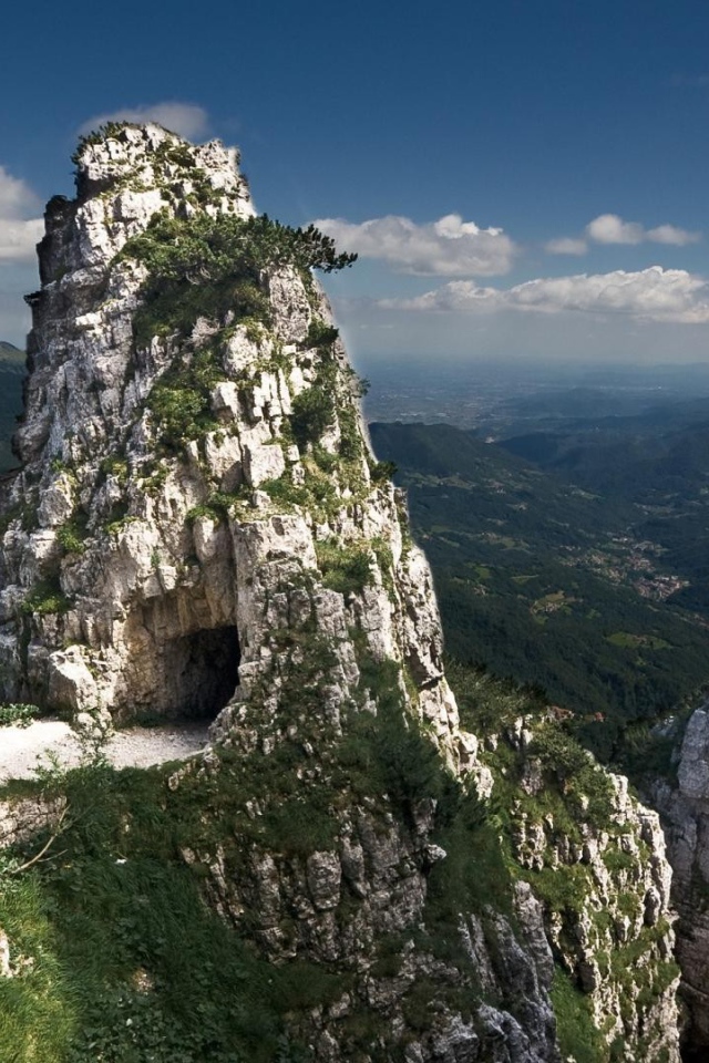 Меловые скалы поросли зеленью