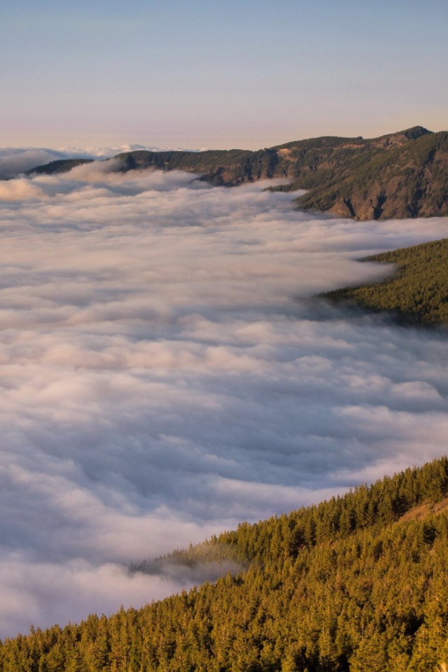 Туман в долине