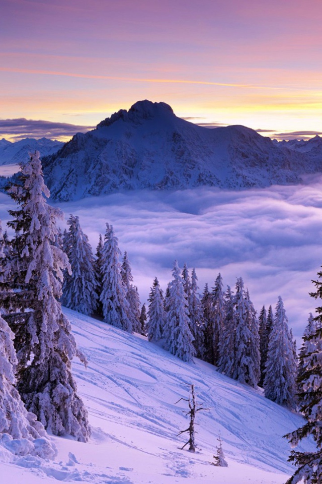 Волшебный зимний пейзаж в горах