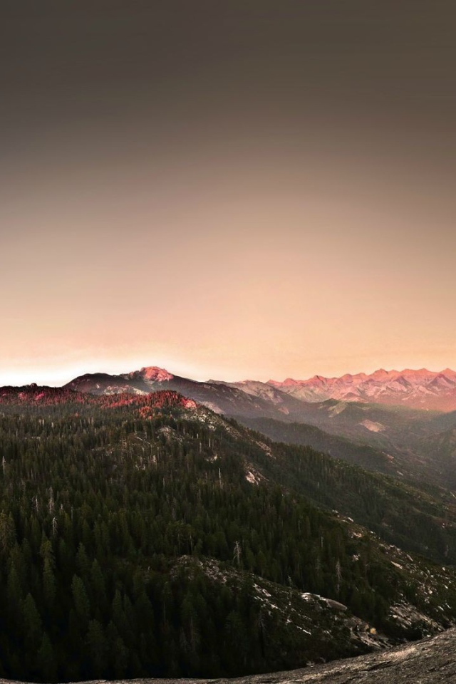 Поросшее хвойным лесом плоскогорье