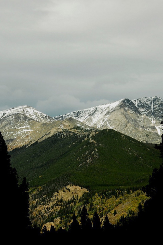 Фото гор среди деревьев
