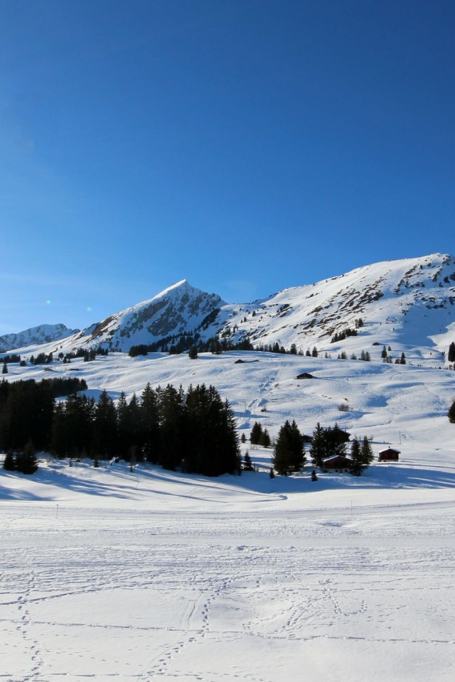 Лыжная трасса в горах