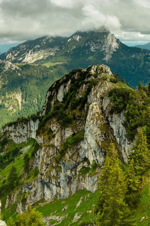 Каменная гора поросла лесом