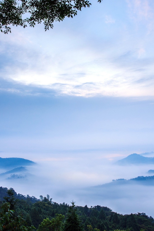 Густой туман в горах