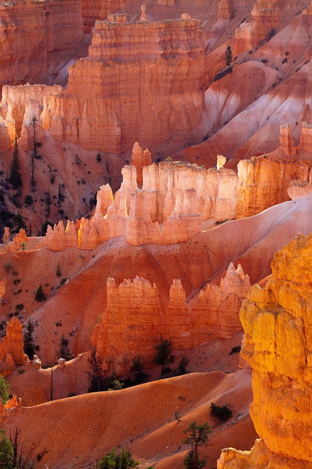 Желтый скалистый каньон