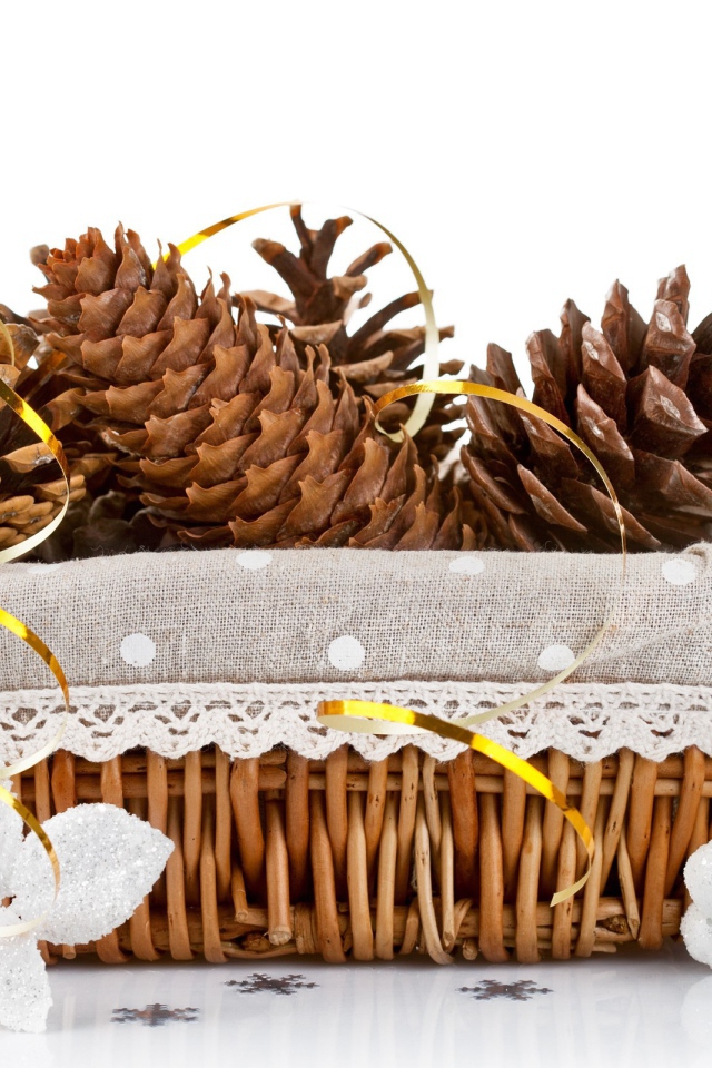 Корзина с еловыми шишками