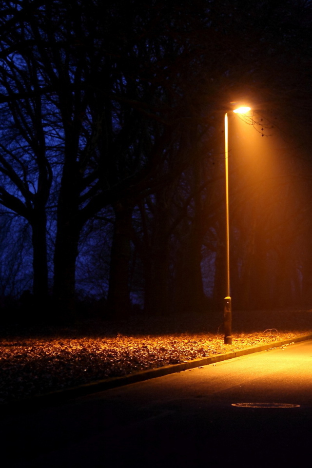 Городской парк с фонарями