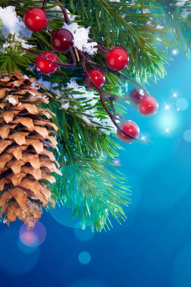 Шишки и ягоды на хвойном дереве