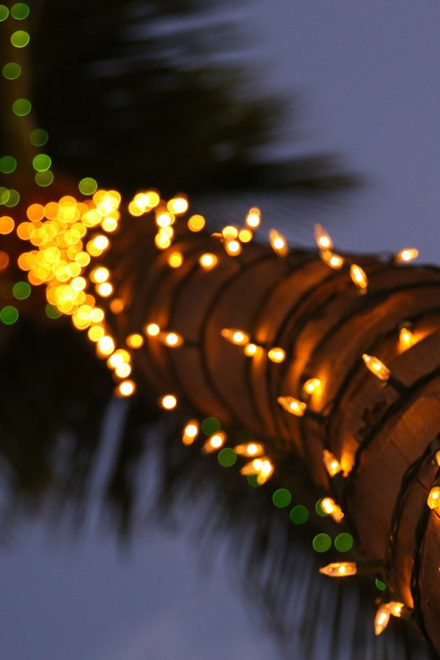 Гирлянды на стволе пальмы