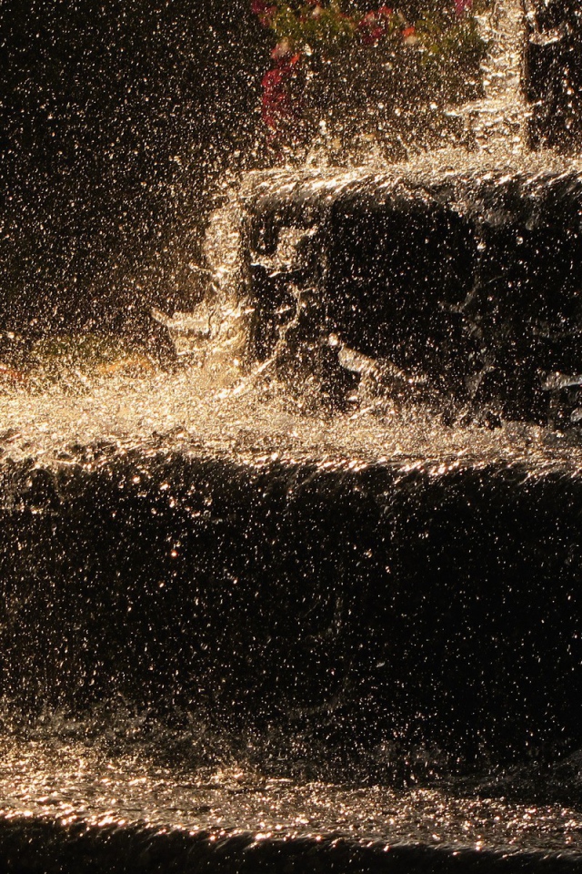 Ливень на ступенях