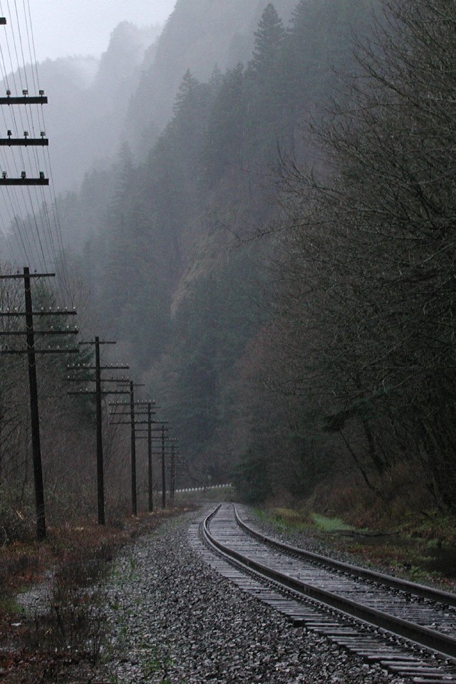 Железная дорога среди мрачного леса
