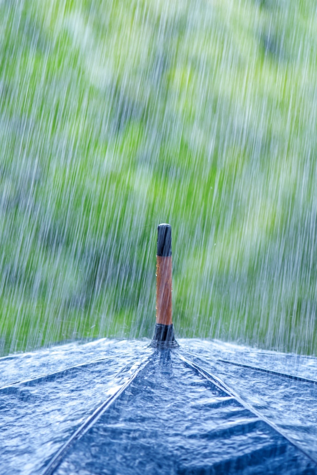 Дождь льется на черный зонт