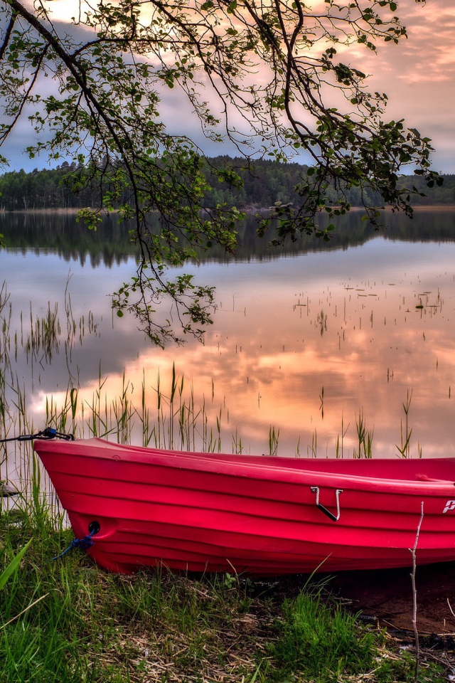 Красная лодка на берегу водоема