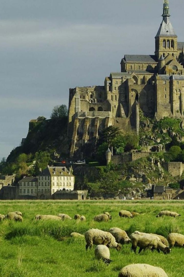 Овцы пасутся на фоне неприступного замка