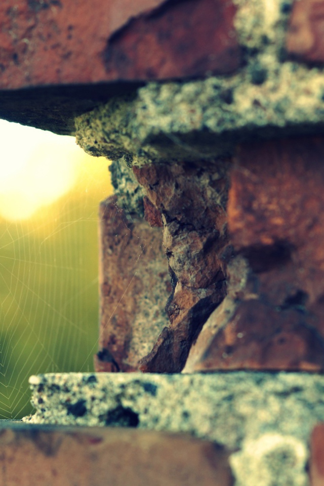 Паутина в выемке кирпичной кладки