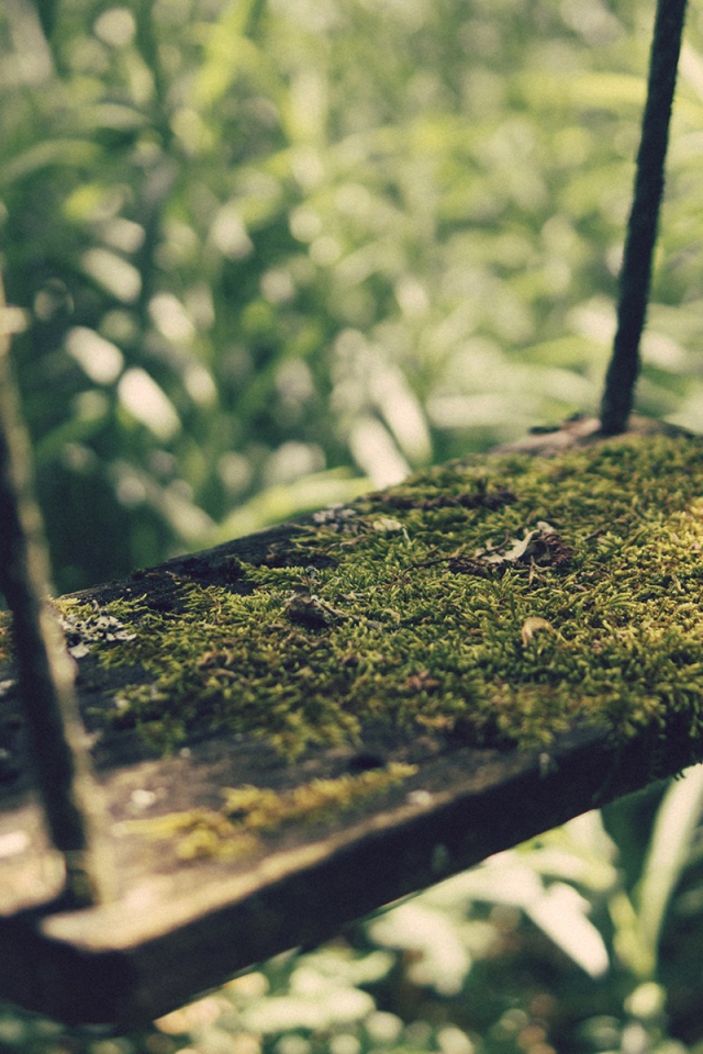 Мох на детских качелях