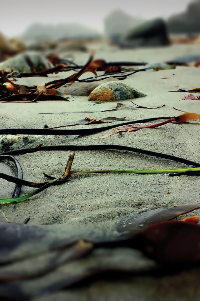 Скудная растительность на камнях скал